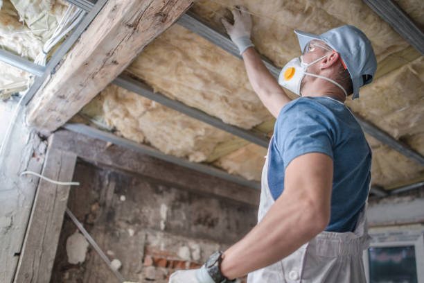 Best Eco-Friendly Insulation in Lexington, OH