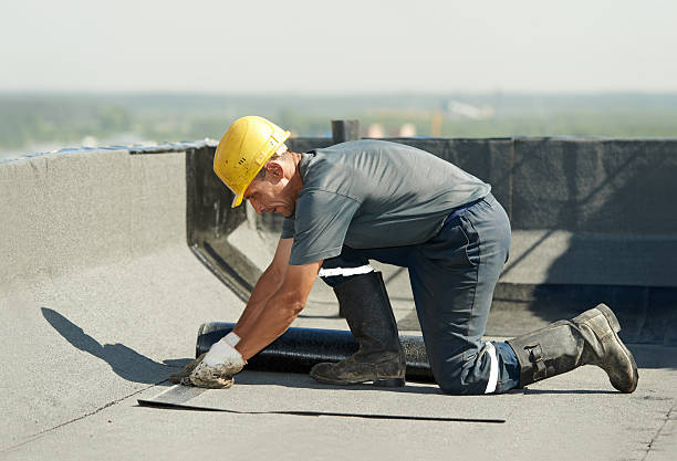 Best Specialized Insulation Services in Lexington, OH