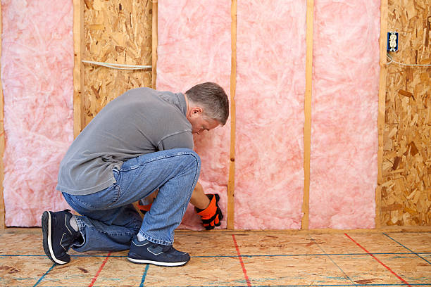 Best Cellulose Insulation in Lexington, OH